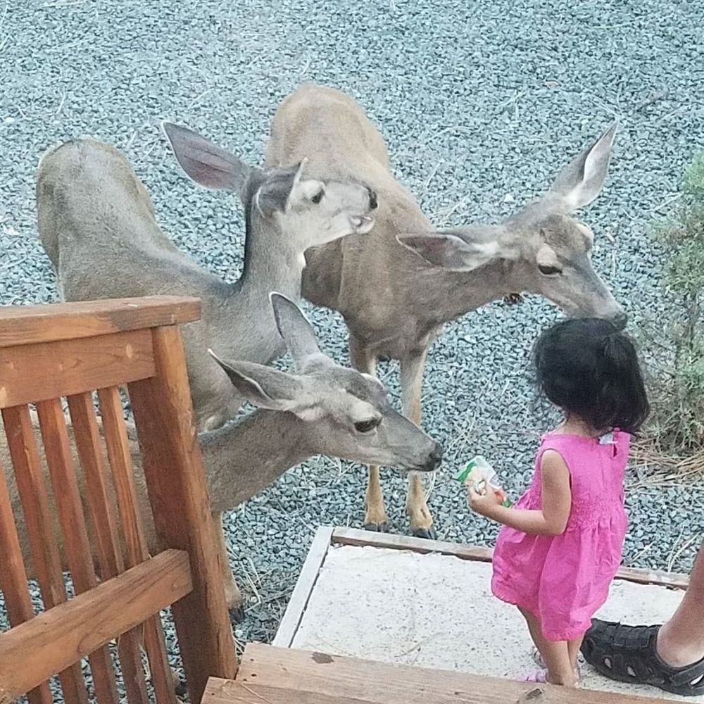 Meet your Posher, Kristy